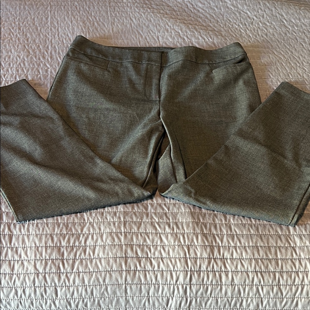 Ann Taylor Dress Pants